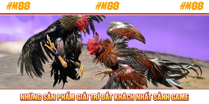 Những sản phẩm giải trí đắt khách nhất sảnh game